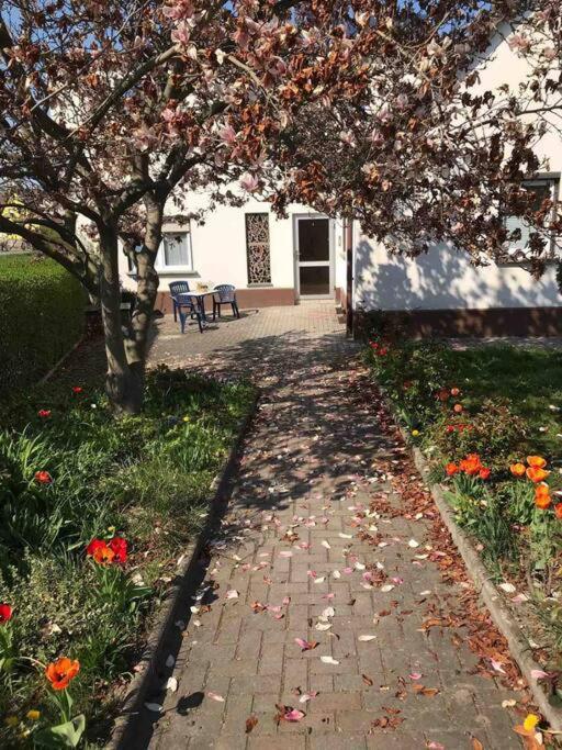 Auf Dem Land Und Doch Ganz Nah Apartment Krolpa Exterior photo